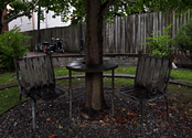 Two chairs and a table sit underneath a tree.