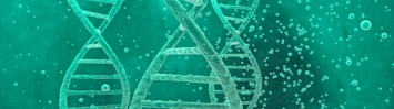Green DNA double helix